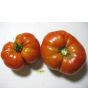 Tomato 'Zogola'
