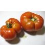 Tomato 'Zogola'