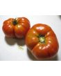 Tomato 'Zogola'
