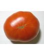 Tomato 'Zogola'