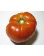 Tomato 'Zogola'