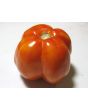 Tomato 'Striped Cavern' Seeds (Certified Organic)