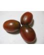 Tomato 'Black Plum'