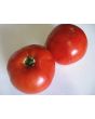 Tomato 'Cuostralee'