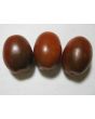 Tomato 'Black Plum'