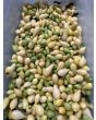 Hot Pepper 'White Chupetinho' Seeds (Certified Organic)