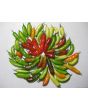 Hot Pepper ‘Fish’ Seeds (Certified Organic)