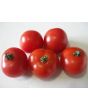 Tomato 'Gardener's Delight' Seeds (Certified Organic)