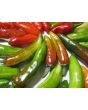 Hot Pepper ‘Fish’ Seeds (Certified Organic)