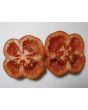 Tomato 'Striped Cavern' Seeds (Certified Organic)