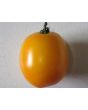 Tomato 'Barnyard' Seeds (Certified Organic)