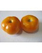 Tomato 'Rumi Banjan'