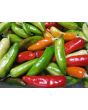 Hot Pepper ‘Fish’ Seeds (Certified Organic)