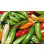 Hot Pepper ‘Fish’ Seeds (Certified Organic)