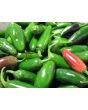 Hot Pepper 'Jalapeno'