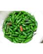 Hot Pepper 'Jalapeno'