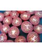 Tomato 'High Carotene'