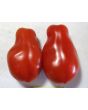 Tomato 'San Marzano' Seeds