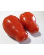 Tomato 'San Marzano' Seeds