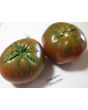 Tomato 'Cherokee Chocolate'