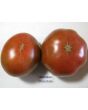 Tomato 'Cherokee Chocolate'