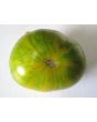 Tomato 'Green Zebra'