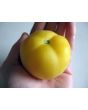 Tomato 'Garden Peach'