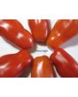 Tomato 'Sausage'