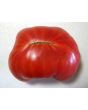 Tomato 'Northern Lights'