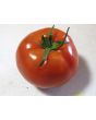 Tomato 'Druzba'