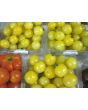 Tomato 'Snow White'