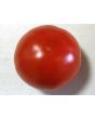 Tomato 'Druzba'