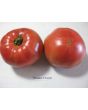Tomato 'Pruden's Purple'