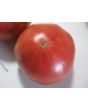 Tomato 'Pruden's Purple'