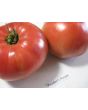 Tomato 'Pruden's Purple'