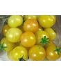 Tomato 'Gajo de Melon'