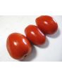 Tomato 'Roma'
