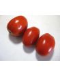 Tomato 'Roma'