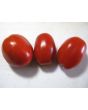 Tomato 'Roma'