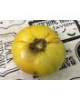 Tomato 'Dagma's Perfection' Seeds (Certified Organic)