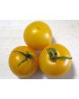Tomato 'Czech's Excellent Yellow'