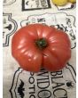 Tomato 'Tobolsk' (Pink Variant) Seeds (Certified Organic)