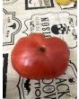 Tomato 'Tobolsk' (Pink Variant) Seeds (Certified Organic)