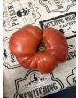 Tomato 'Tobolsk' (Pink Variant) Seeds (Certified Organic)