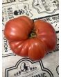 Tomato 'Tobolsk' (Pink Variant) Seeds (Certified Organic)