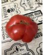 Tomato 'Tobolsk' (Pink Variant) Seeds (Certified Organic)