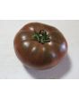 Tomato 'Black From Tula' Seeds (Certified Organic)