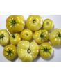 Tomato 'White Tomesol'