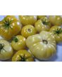 Tomato 'White Tomesol'