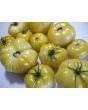 Tomato 'White Tomesol'